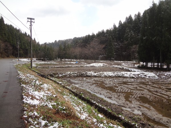 H・25・04・11・田んぼ