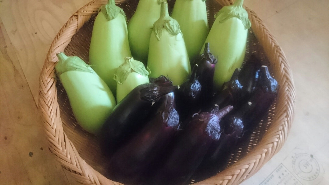 杉水産。